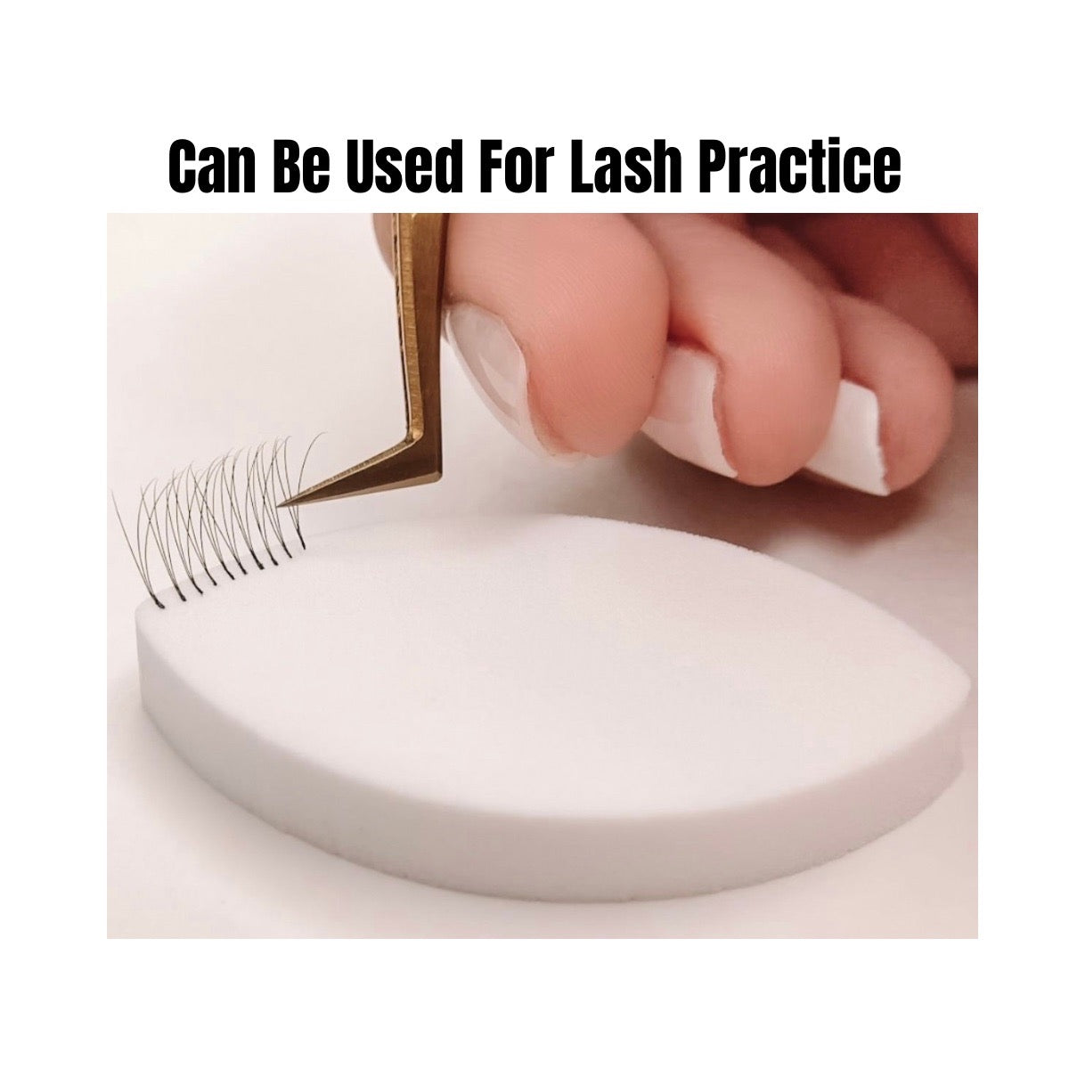 20 Lash Sponges