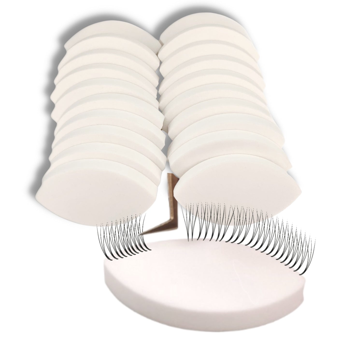 20 Lash Sponges