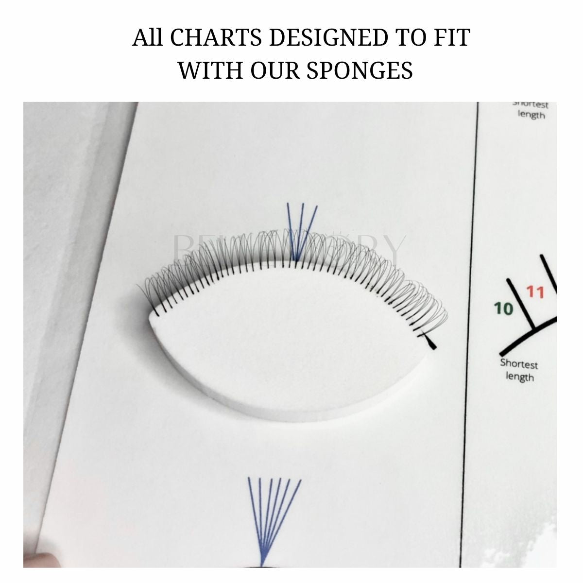 3 PC Beginner Lash Map Charts